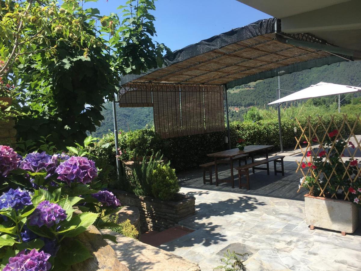 Gelsomini Villa Massa Kültér fotó