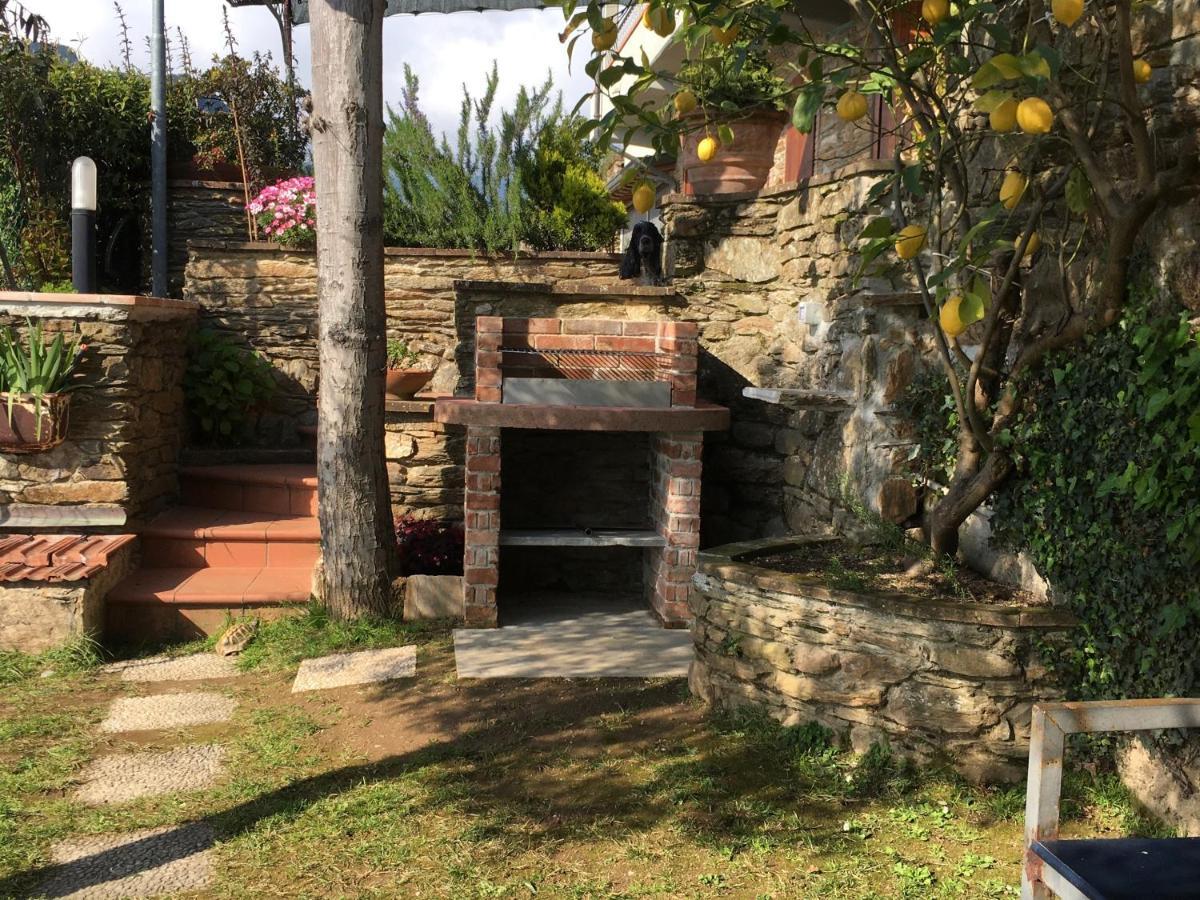 Gelsomini Villa Massa Kültér fotó